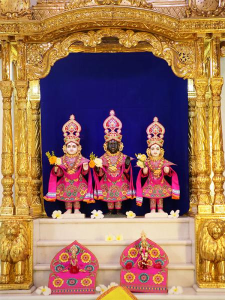 Darshan