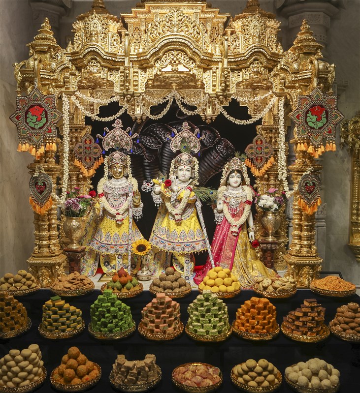 Krishna Janmashtami Celebrations