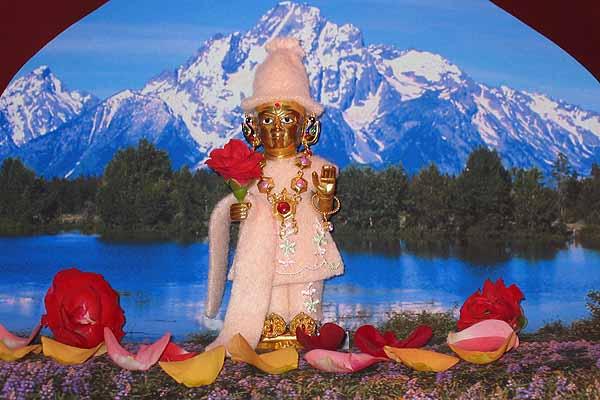 Nilkanthvarni Murti Pratishtha August 17  ,Chicago