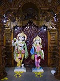 Bhagwan Shri Krishna and Shri Radhaji