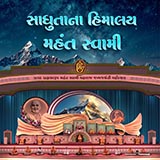 Sadhutana Himalay Mahant Swami